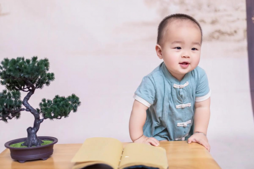 德宏可爱的企鹅宝宝